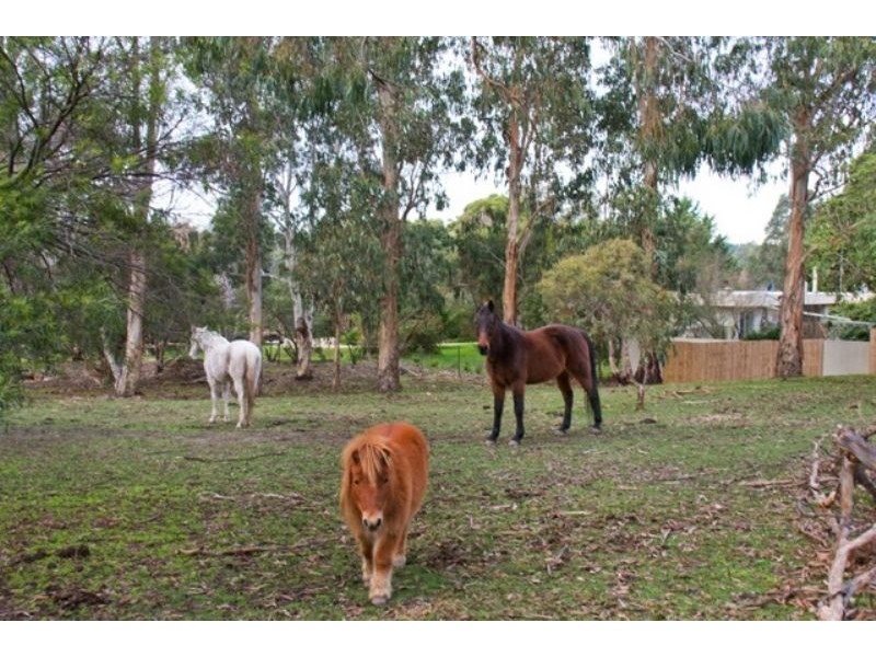 530 Church Road, Hazelwood North VIC 3840