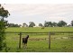 530 Church Road, Hazelwood North VIC 3840