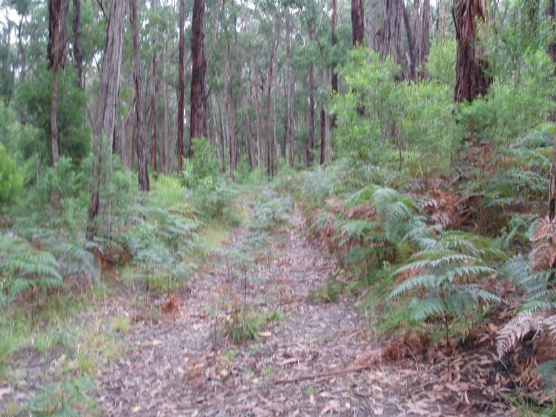 Lot 2 Sargeant Drive, Jeeralang VIC 3840