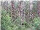 Lot 2 Sargeant Drive, Jeeralang VIC 3840