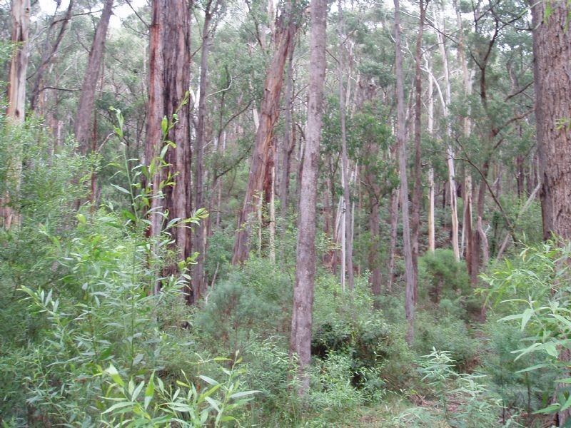 Lot 2 Sargeant Drive, Jeeralang VIC 3840
