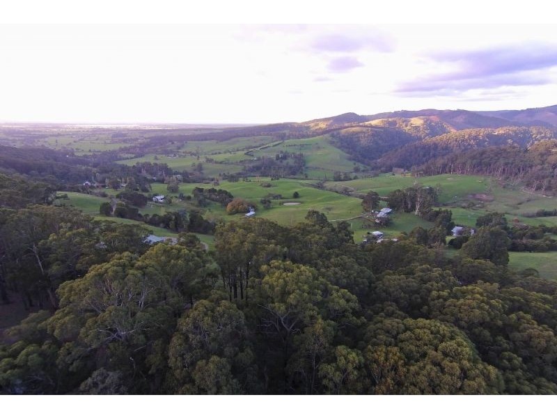 805 Whitelaws Track, Yinnar South VIC 3869