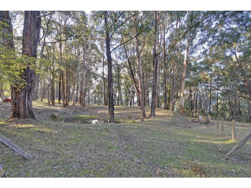 805 Whitelaws Track, Yinnar South VIC 3869