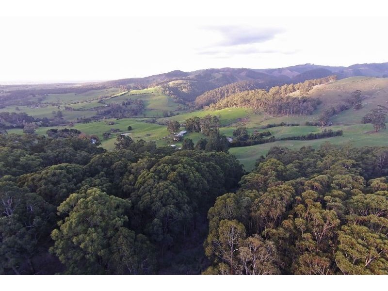 805 Whitelaws Track, Yinnar South VIC 3869