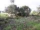 0 Traralgon Maffra Road, Toongabbie VIC 3856