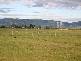 Lot 1 Switchback Road, Yinnar VIC 3869
