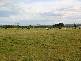 Lot 1 Switchback Road, Yinnar VIC 3869