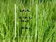 Lot 245 St. Georges Road, Traralgon VIC 3844