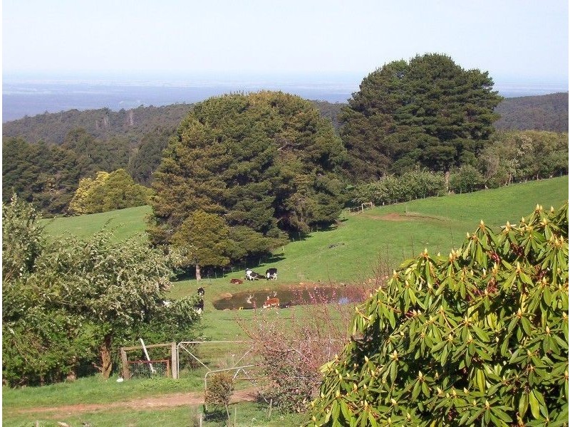 835 Grandridge Road, Carrajung VIC 3844