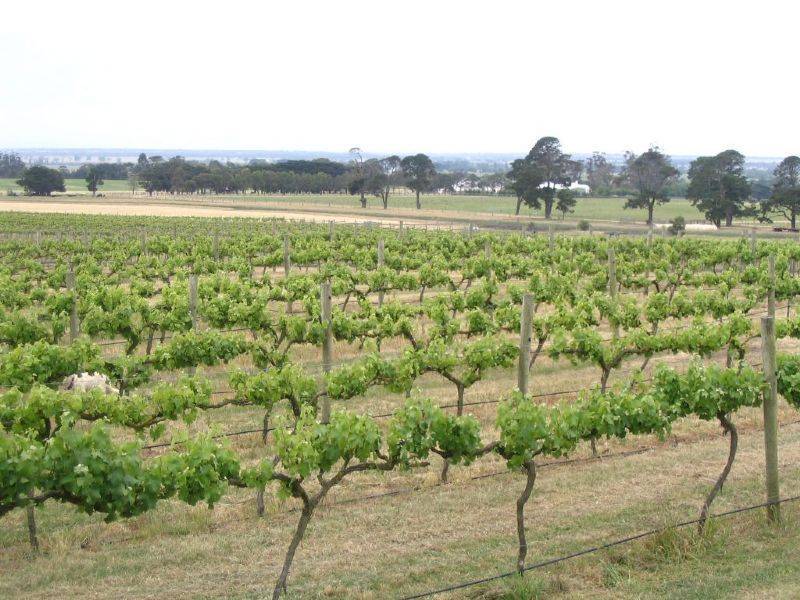 Lot 3 Maffra-Stratford Road, Maffra VIC 3860