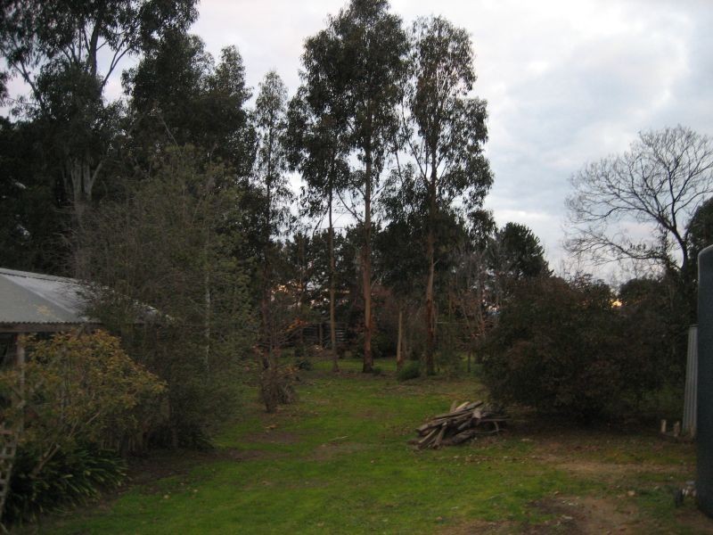 3 Widdis Way, Flynn VIC 3844