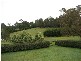 310 Thompson Road, Hazelwood North VIC 3840