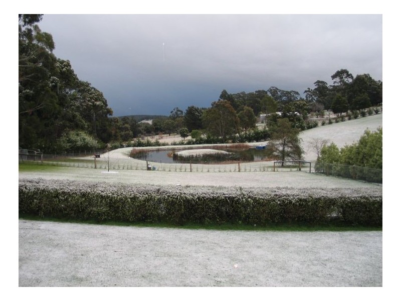 310 Thompson Road, Hazelwood North VIC 3840