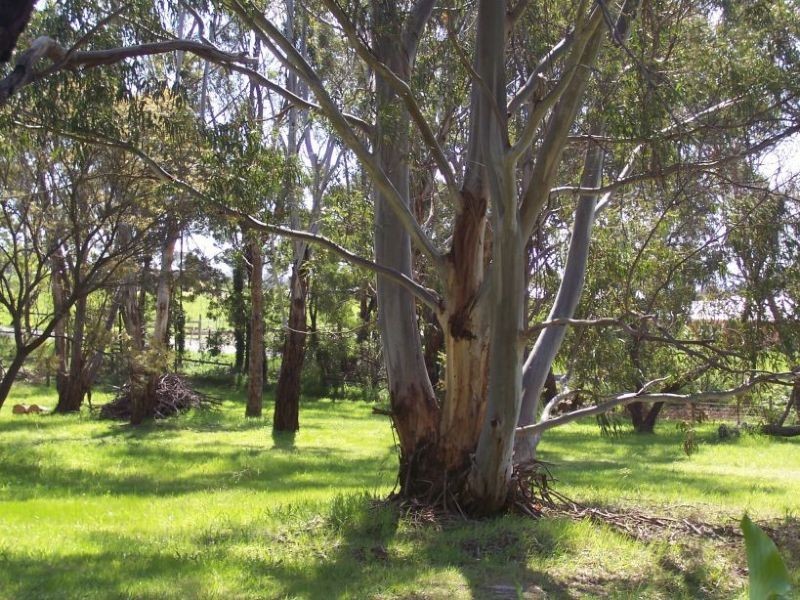 530 Church Road, Hazelwood North VIC 3840