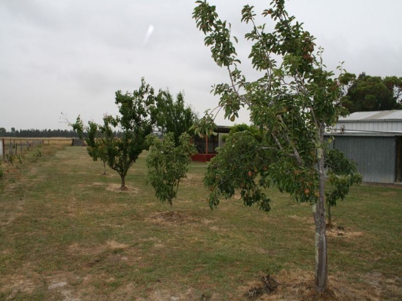 59 Cobham Court, Glengarry VIC 3854