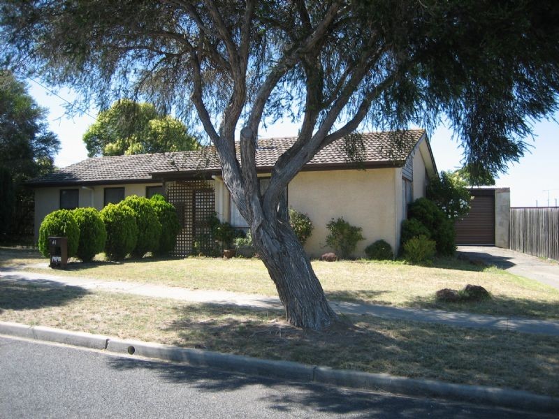 41 Murphy Crescent, Traralgon VIC 3844