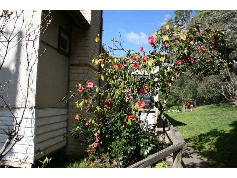 385 Francis Road, Glengarry West VIC 3854