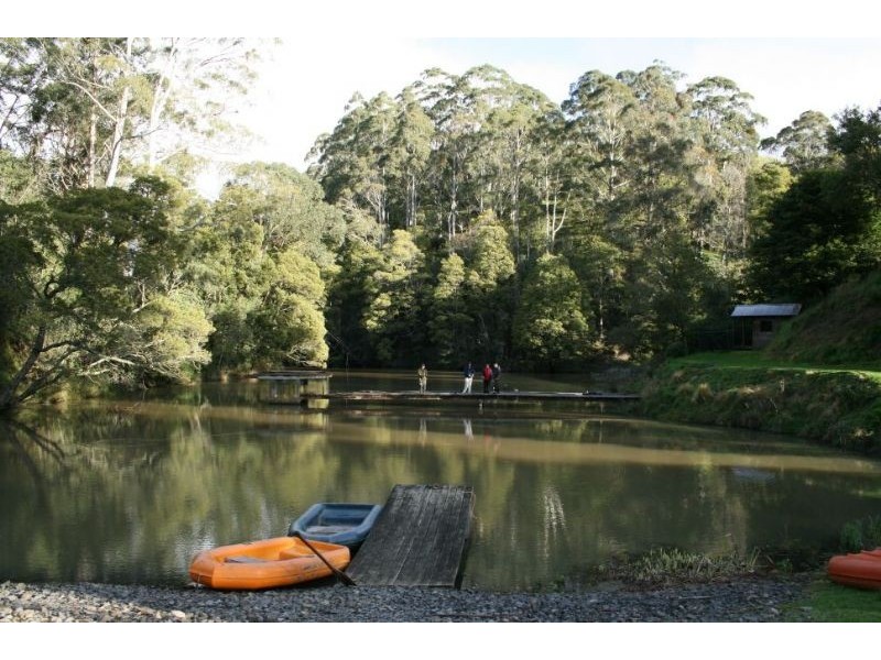 145 Old Leongatha Road, Yarragon VIC 3823