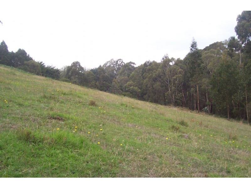 540 Balook Road, Callignee VIC 3844