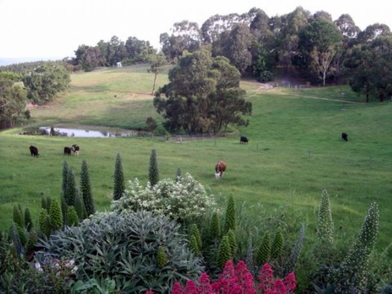 285 McDonalds Track, Hernes Oak VIC 3825