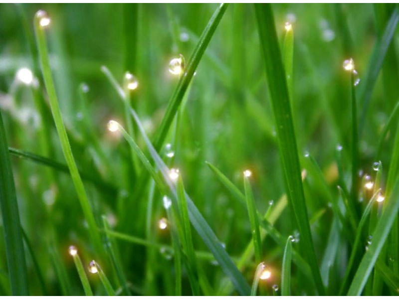 360 Princes Drive, Traralgon VIC 3844