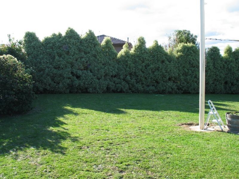 16 Poplar Avenue, Traralgon VIC 3844