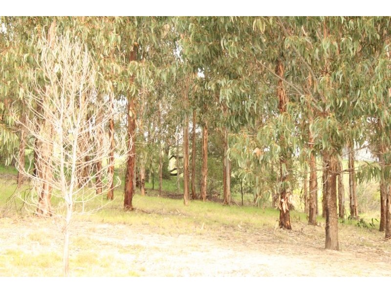 Lot 3/185 Jeeralang West Road, Jeeralang VIC 3840