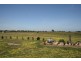 112 Willung Road, Rosedale VIC 3847