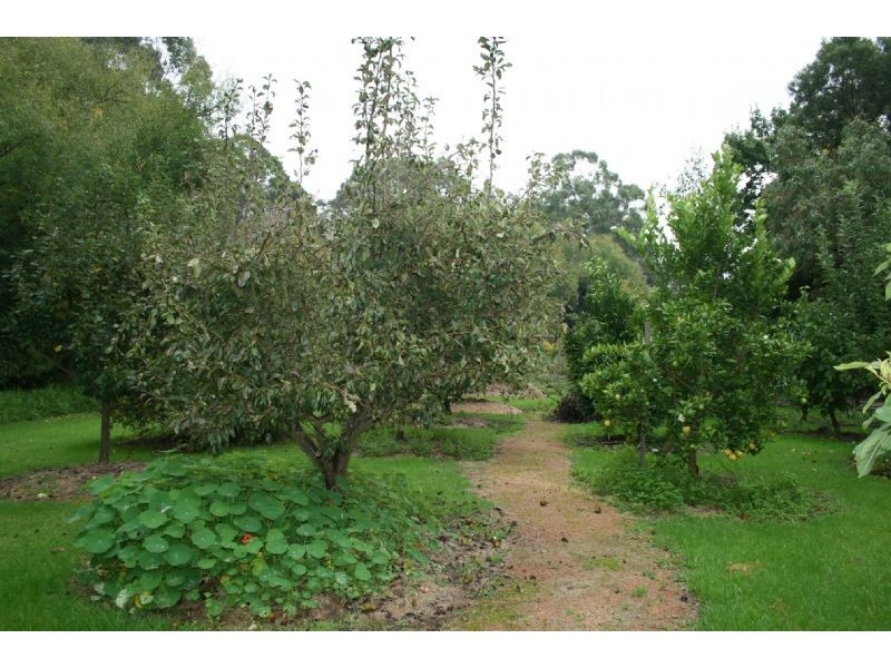 45 Jeeralang West Road, Jeeralang Junction VIC 3840