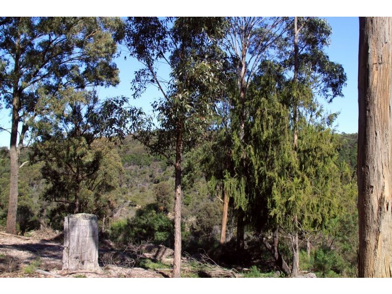 43 McEvoys Track, Seaton VIC 3858