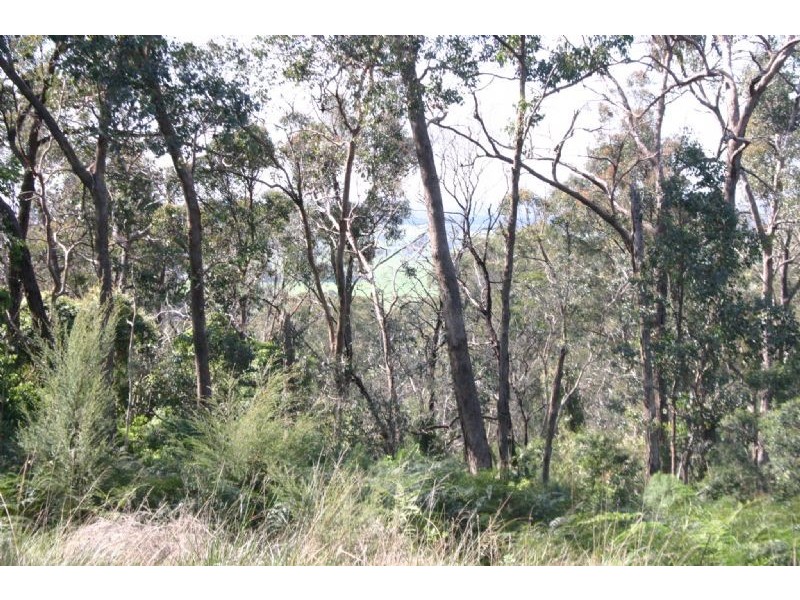 Lot 3 Brady’s Road, Tyers VIC 3844