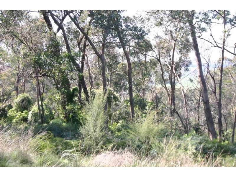 Lot 3 Brady’s Road, Tyers VIC 3844