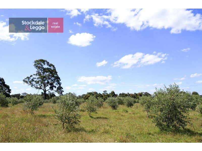 228 Heyfield Seaton Road, Heyfield VIC 3858