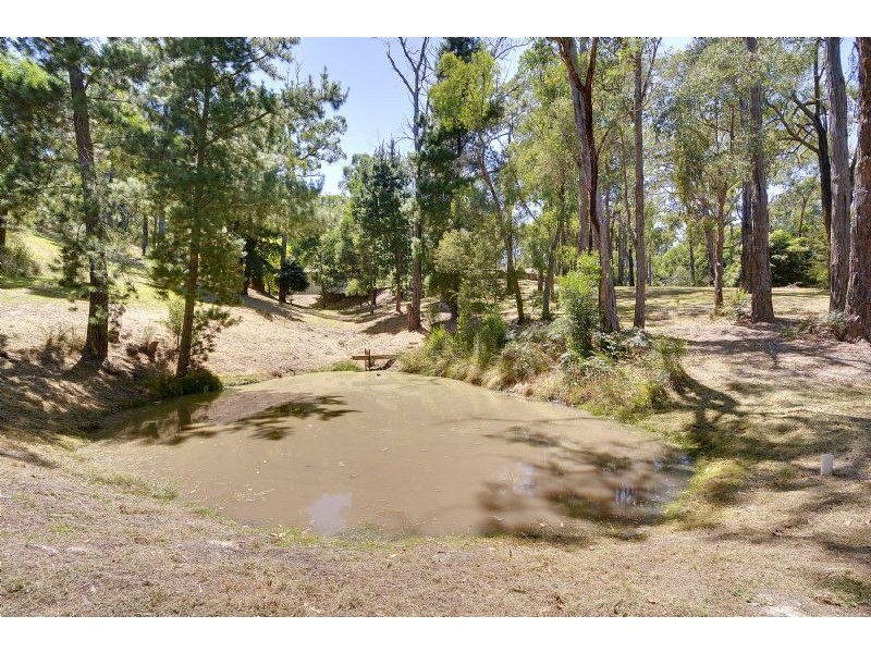62 Monaro Drive, Tyers VIC 3844