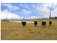 180 Flynns Creek Road, Flynn VIC 3844