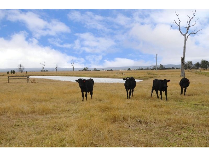 180 Flynns Creek Road, Flynn VIC 3844