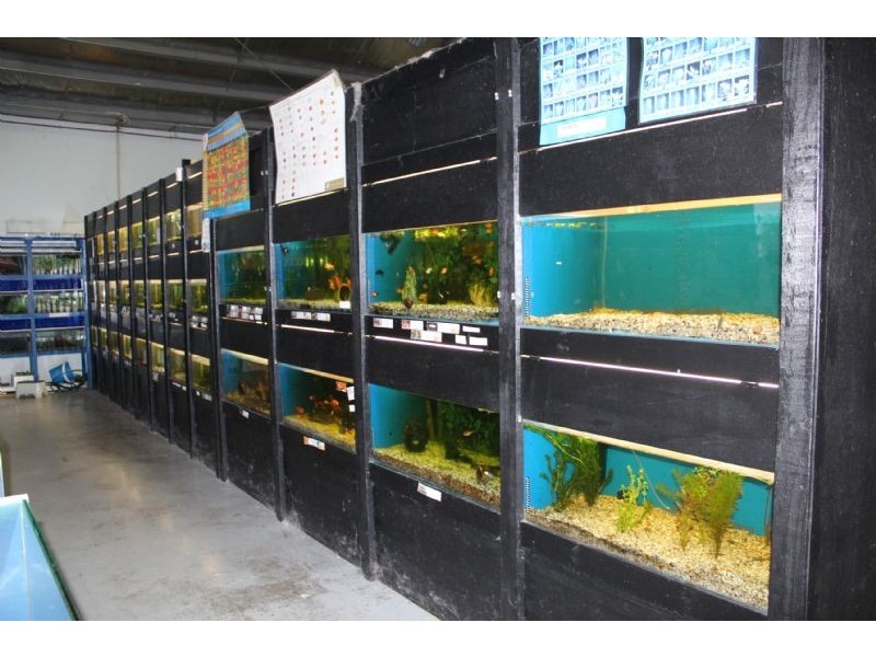 3/2 VESTAN DRIVE, Morwell VIC 3840