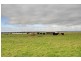 1345 Sale-Toongabbie Road, Rosedale VIC 3847