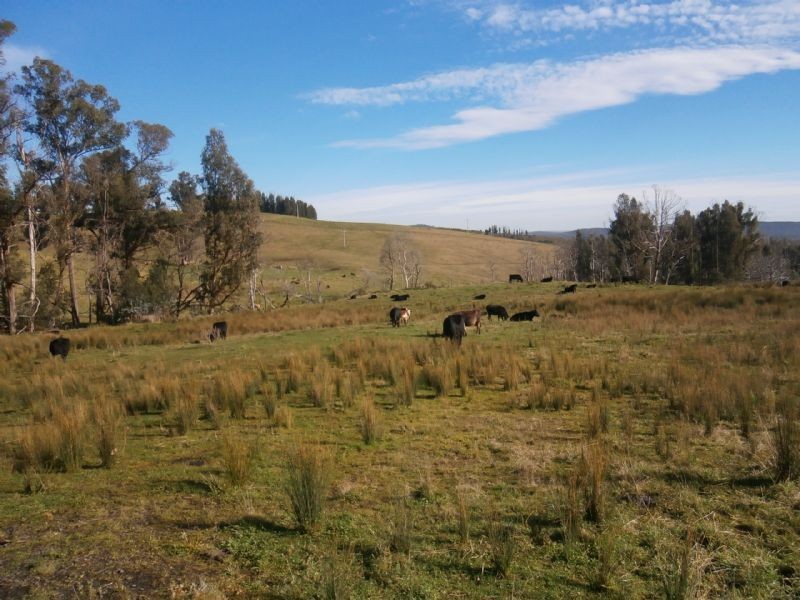 610 Traralgon-Balook Road, Callignee VIC 3844