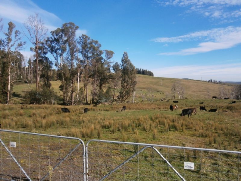 610 Traralgon-Balook Road, Callignee VIC 3844