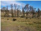 610 Traralgon-Balook Road, Callignee VIC 3844
