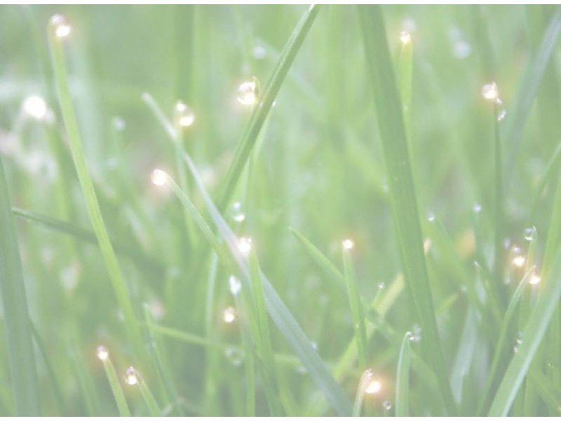 137 – 139 Princes Drive, Morwell VIC 3840