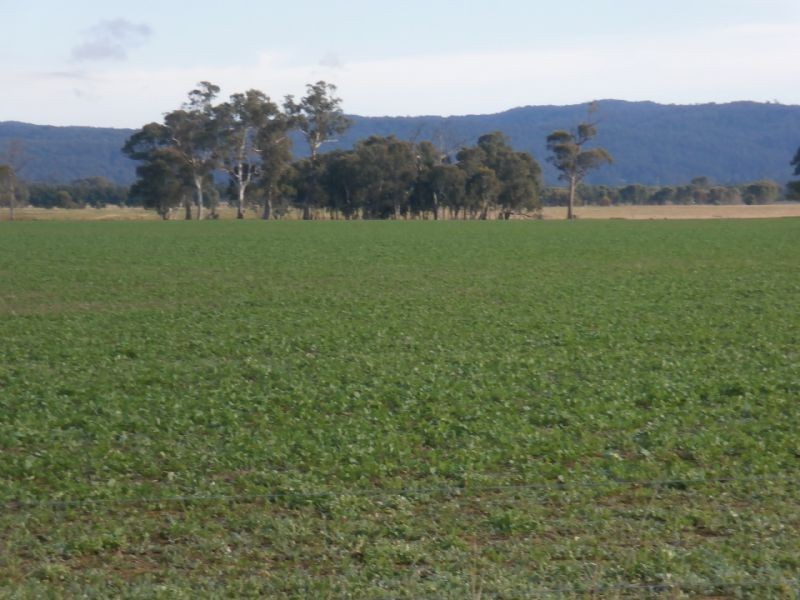 Lot 2 River Road, Glengarry VIC 3854