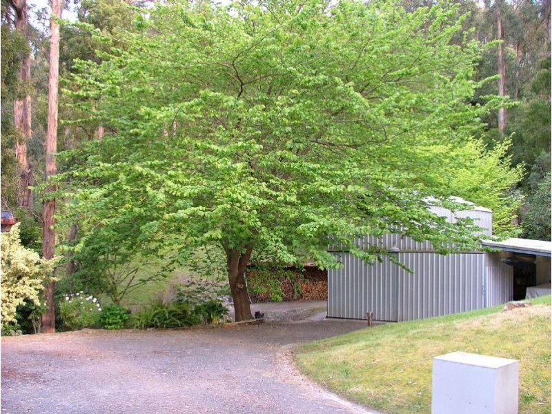 62 Monaro Drive, Tyers VIC 3844