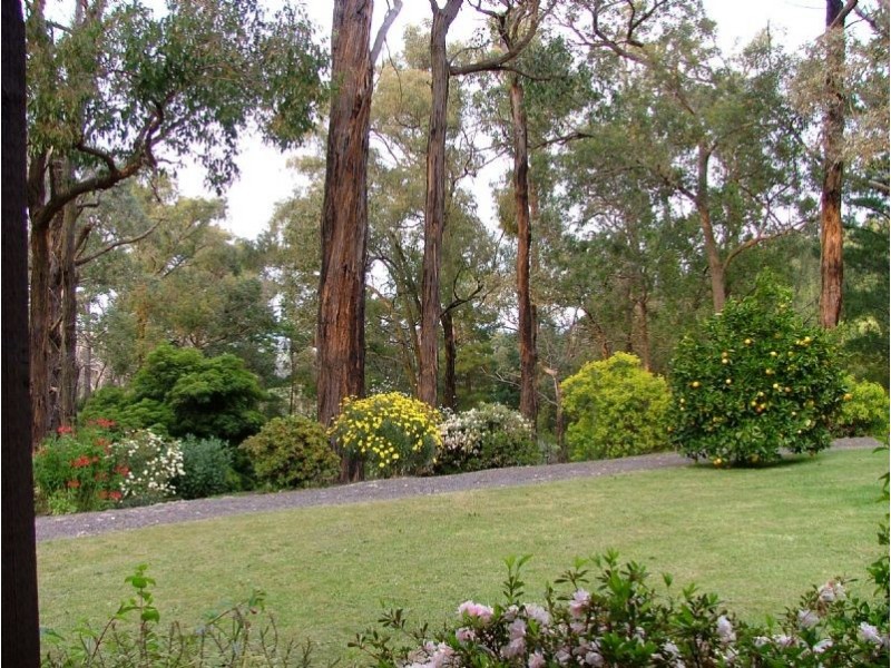 62 Monaro Drive, Tyers VIC 3844