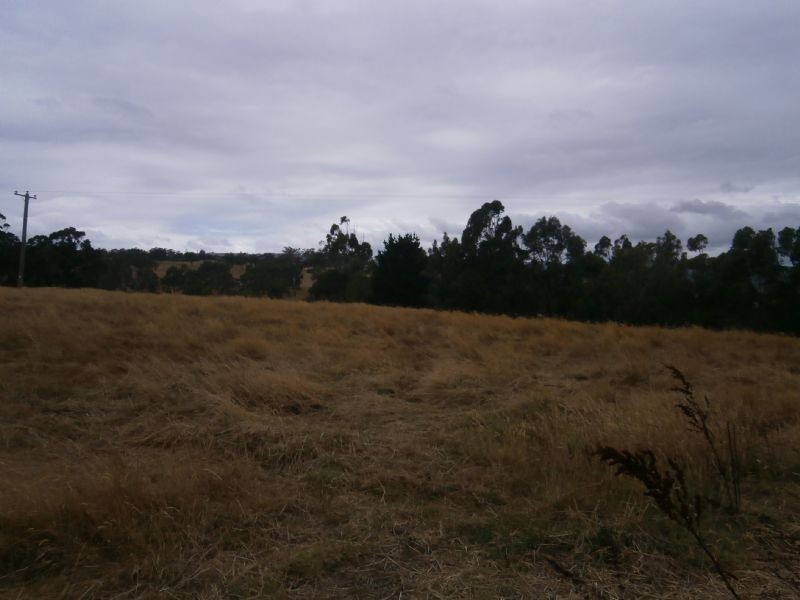 1255 Hazelwood Road, Hazelwood South VIC 3840