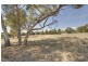 Lot 1/55 Regan Road, Traralgon VIC 3844