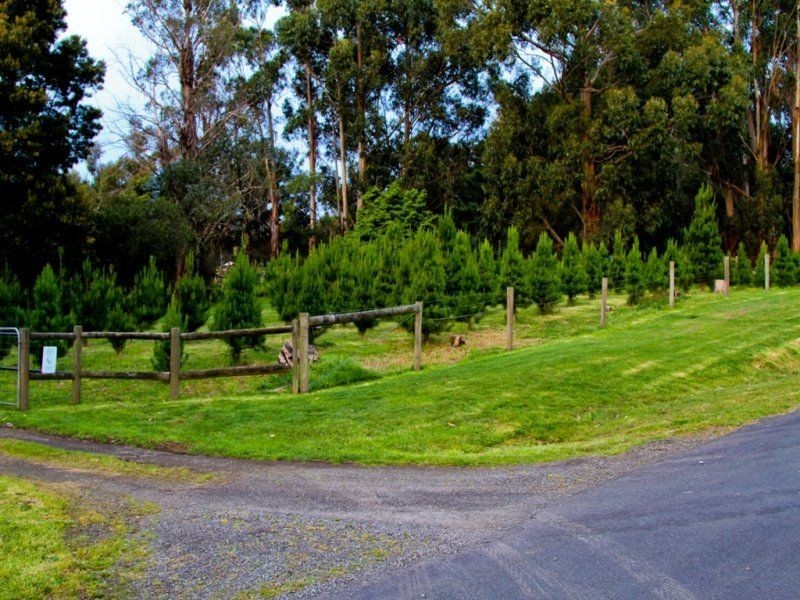 90 Holts Road, Hazelwood South VIC 3840