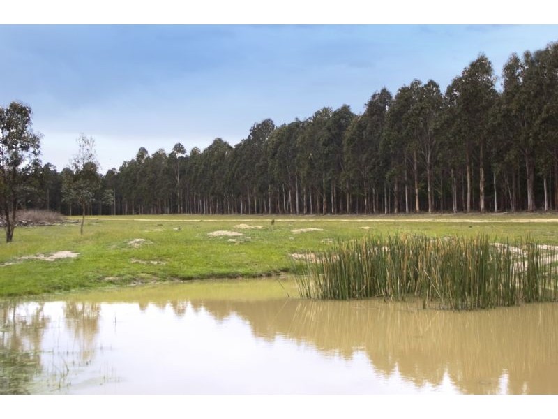 Lot 1 Groppi Road, Hazelwood North VIC 3840