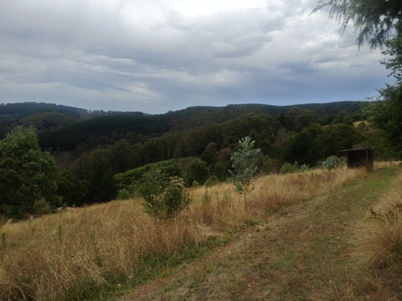 316B Milnes Road, Carrajung VIC 3844